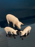 Schleich Schwein Sau mit Ferkeln Nordrhein-Westfalen - Steinhagen Vorschau