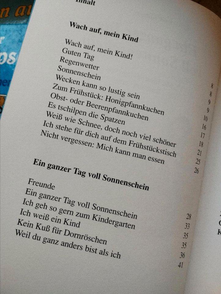 Ein ganzer Tag voller Sonnenschein 1995, Rolf Krenzer, Kinderbuch in Weißenburg in Bayern