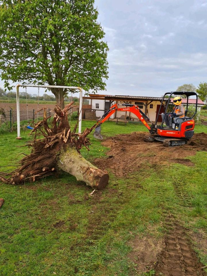 Zu vermieten: Minibagger KUBOTA 2,0 t, nur 99 cm breit in Immenstedt