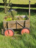 Bollerwagen Garten Deko Pflanzen Nordrhein-Westfalen - Brilon Vorschau