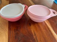 Tupperware Dose 600ml Rosa pink Niedersachsen - Scheeßel Vorschau