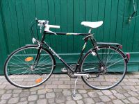 Peugeot Herren-Fahrrad Vintage Rheinland-Pfalz - Grünstadt Vorschau