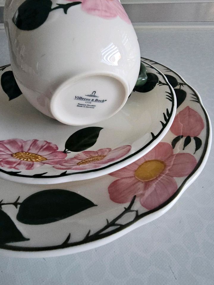 Villeroy & Boch Wildrose Kaffeegedeck in Wallenhorst