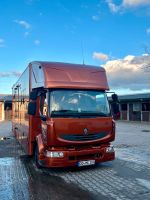 Renault Trucks Midlum Pferde LKW/Topsleeper/7,49to/ TÜV neu Schleswig-Holstein - Ahrensburg Vorschau