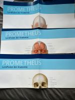 Anatomie Poster Thieme Prometheus Hessen - Marburg Vorschau