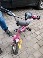 Puky Fahrrad 12Zoll Sachsen - Naunhof Vorschau