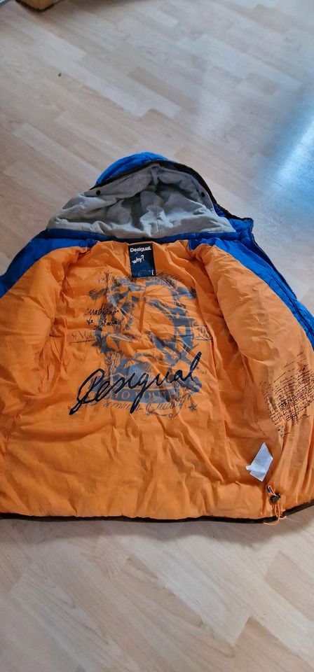 Desigual Herren Steppjacke Gr. L in Gronau (Westfalen)