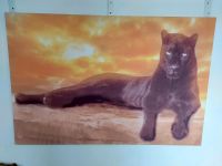 Leinwandbild Bild Wandbild Panther Raubtier XL 120x80 Deko Wohnen Bad Godesberg - Friesdorf Vorschau