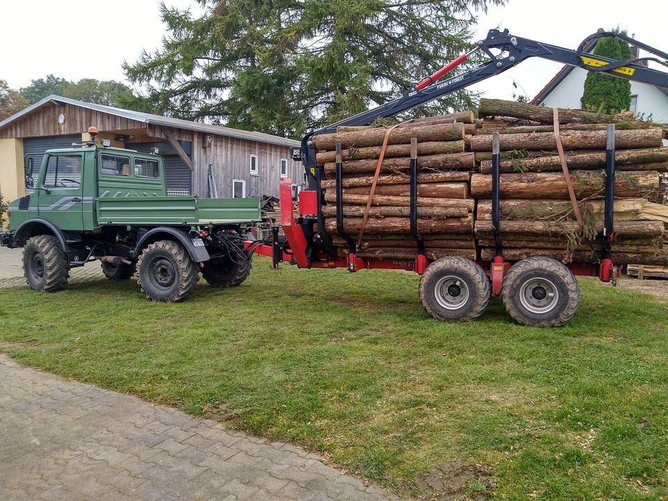 Holzrücken Holztransport Rückewagen Fällgreifer in Windischeschenbach