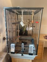 Verkaufe 2 Vögel mit Käfig mit Futter, Nordrhein-Westfalen - Lippstadt Vorschau