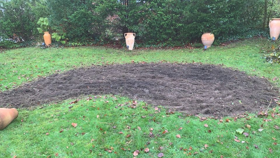 Heckenschnitt Gartenarbeit rasen Gartenpflege Vertikutieren in Flintbek