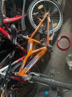 Zündäpp Fahrrad in orange Saarland - Mandelbachtal Vorschau