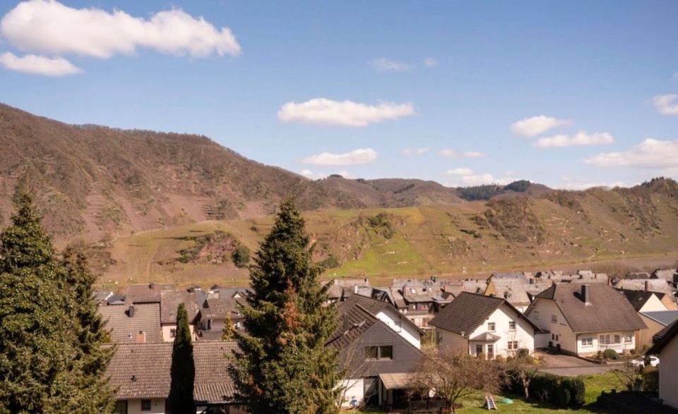 Ferienwohnung am steilsten Weinberg Europas in Bremm