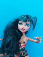 Monster High Puppe Bergedorf - Hamburg Allermöhe  Vorschau