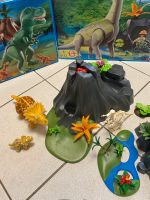 Playmobil Dinosaurier nicht vollständig Bayern - Mintraching Vorschau