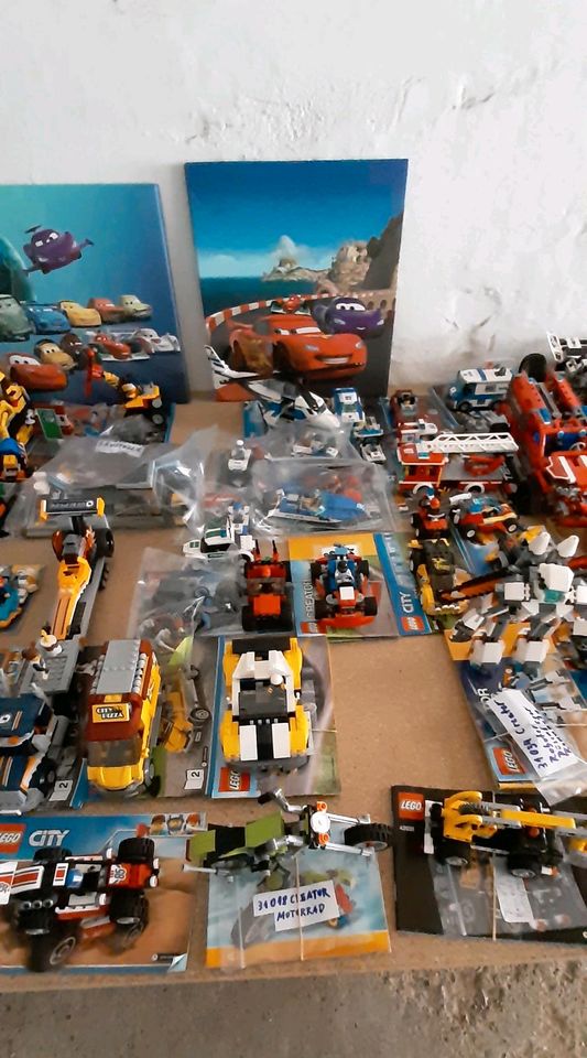 Lego und Playmobil Sammlung in Wasserlosen