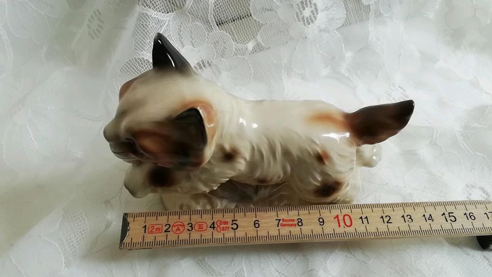 ❤️Vintage Katze Figur Porzellan Midcentury Sammler❤️ in Braunschweig