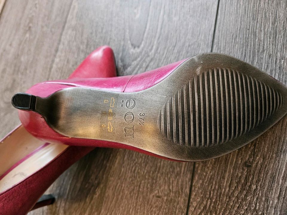 Noë Pumps NEU Gr. 37 Leder in Damme