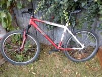 Fahrrad Mountainbike 26 Zoll Baden-Württemberg - Ladenburg Vorschau