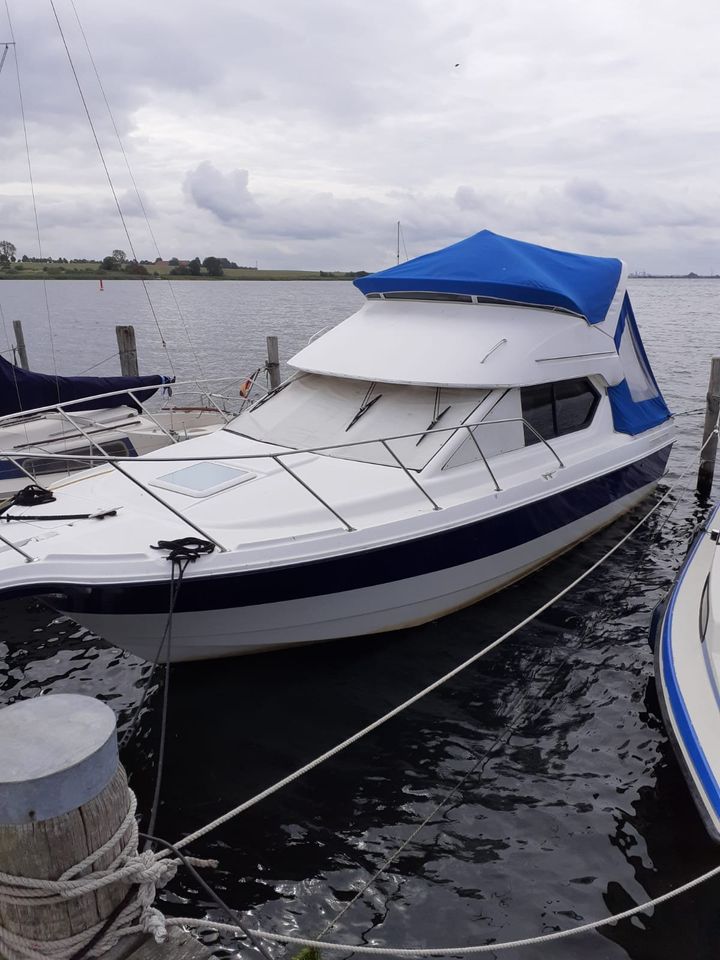 Motoryacht Bayliner 288 FLY Motorboot LP Insel Poel Yacht in Neukloster