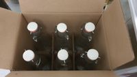 Bügelflasche Glasflaschen 500 ml zum Selbstbebeflüllen Kiel - Suchsdorf Vorschau