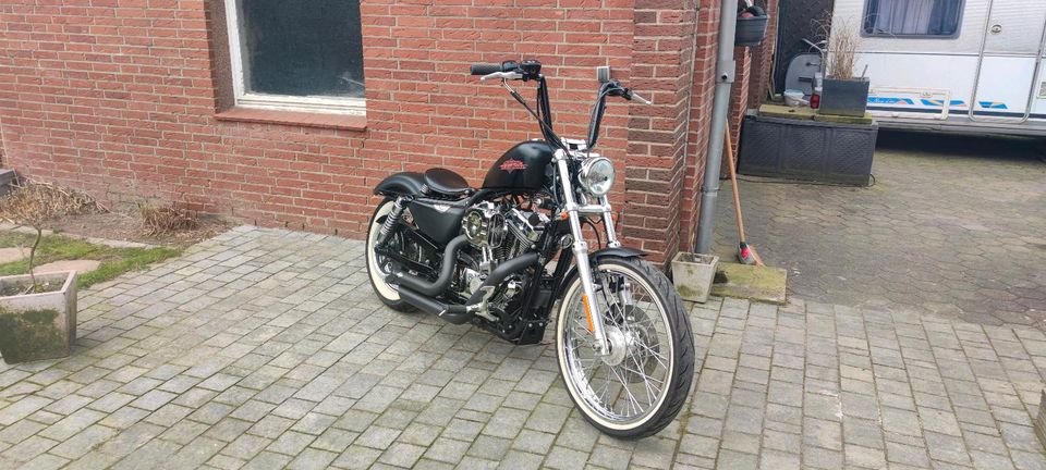 Harley Davidson Sportster Seventy Two in Belm