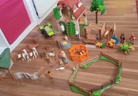 Mega große Bauernhof Playmobil Sammlung super Zustand Rheinland-Pfalz - Mommenheim Vorschau