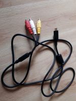 Panasonic Lumix Composite RCA Videokabel, 1,5m lang Bayern - Teisendorf Vorschau