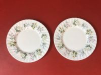 MINTON „Spring Valley“ Fine Bone China Porzellan 2 Teller Hessen - Lich Vorschau