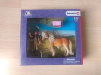 NEU Schleich 41431 Pferdepflegerin mit Island Pony Stute Bayern - Augsburg Vorschau