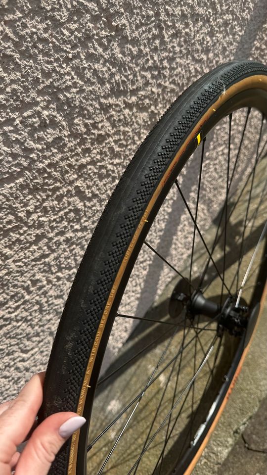 Mavic Felgen mit Expanse One Bereifung neu Rennrad Gravelbike in Philippsthal (Werra)