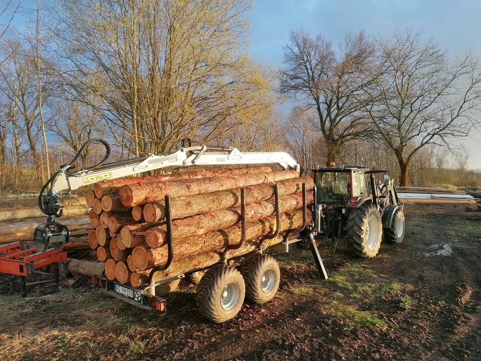 Holztransport, Holzrücken, Stammholz in Eppendorf