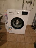 Waschmaschine Siemens Nordrhein-Westfalen - Detmold Vorschau