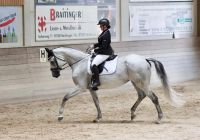 Biete Beritt / Ausbildung / Training für Pferde Bayern - Heretsried Vorschau