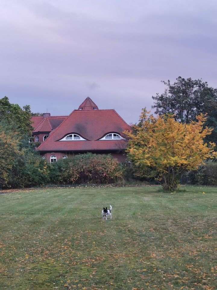 Eine Perle in der Natur - Einzigartige Architektenvilla in der Nähe des Beetzsees in Beetzsee