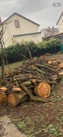 Holz zum verbrennen Baden-Württemberg - Hemsbach Vorschau