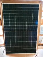 Solarmodul Solarwatt Glas-Glas-Modul 4.0 pure, sale Sachsen - Coswig Vorschau