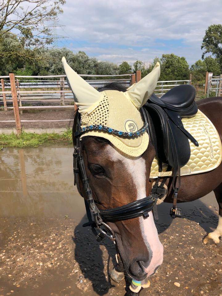 Fliegenmütze Fliegenhaube Eskadron sunflower Pony neuwertig in Dortmund