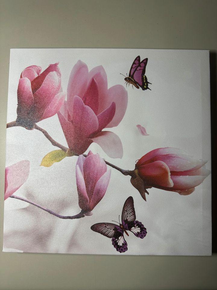 3 x Magnolien-Bilder Set Leinwand Keilrahmen Kunstdruck 30x30 in Heidenau