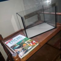 Kleines Aquarium und Buch Thüringen - Rastenberg Vorschau