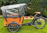 Babboe curve Mountain Lastenrad E- Bike inklusive Zubehör Nordrhein-Westfalen - Radevormwald Vorschau