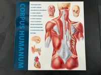 Corpus Humanum - Medizinische Anatomie Buch Medizinbuch Baden-Württemberg - Berghülen Vorschau