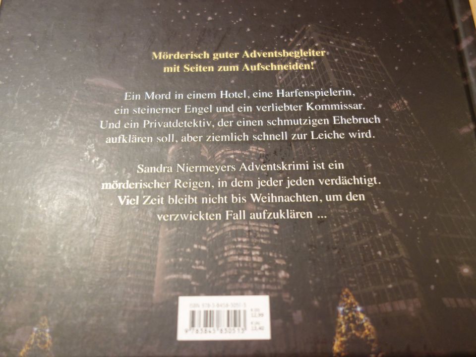 MÖRDERISCHER ENGEL ** ADVENTSKRIMI MIT 24 SEITEN ** in Dannenberg (Elbe)