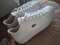 Sneaker Lacoste Hamburg-Nord - Hamburg Winterhude Vorschau