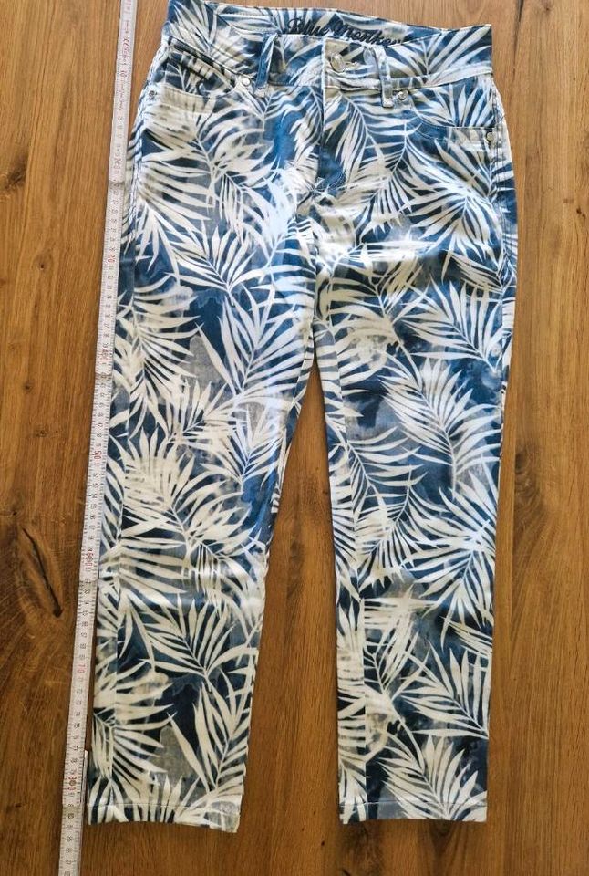 Sommerhose Jeans Skinny  Blue monkey Gr. S neu in Lübeck