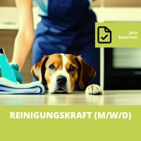 Reinigungskraft (m/w/d) Minijob | Plön Schleswig-Holstein - Plön  Vorschau