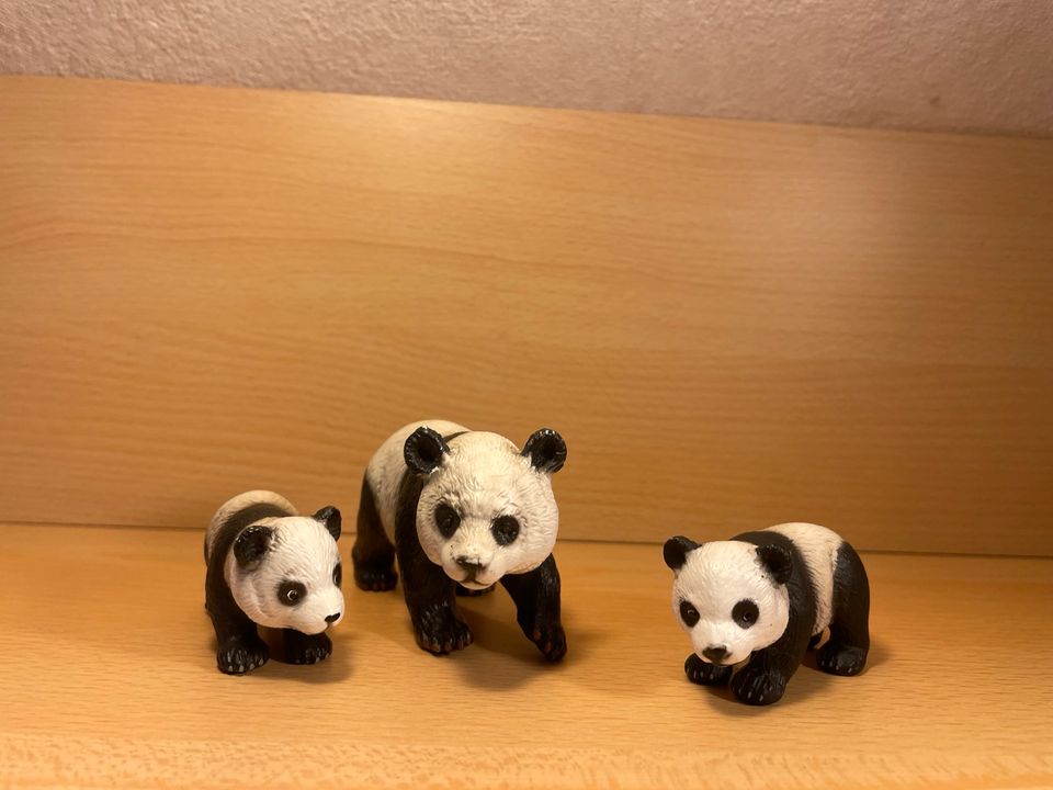 Schleich Tiere Set Bären(Grizzlybär, Panda) in Kappeln