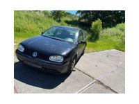 Golf 4       1.4 Motor/ 6 Monate TÜV Bastler/Schlachter Nordrhein-Westfalen - Siegen Vorschau