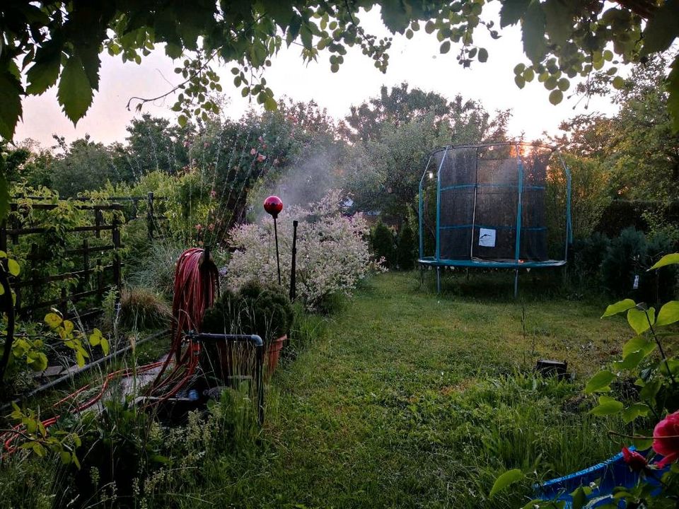 Klein Garten mit massiven Bungalow Pachtgarten Grill Kinder in Cottbus