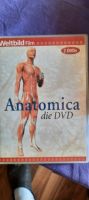 Anatomica auf DVD Rheinland-Pfalz - Trulben Vorschau